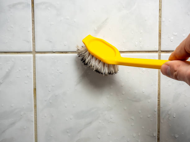 Best Basement Mold Remediation in Lenwood, CA