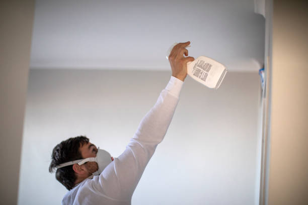 Best Industrial Mold Remediation in Lenwood, CA